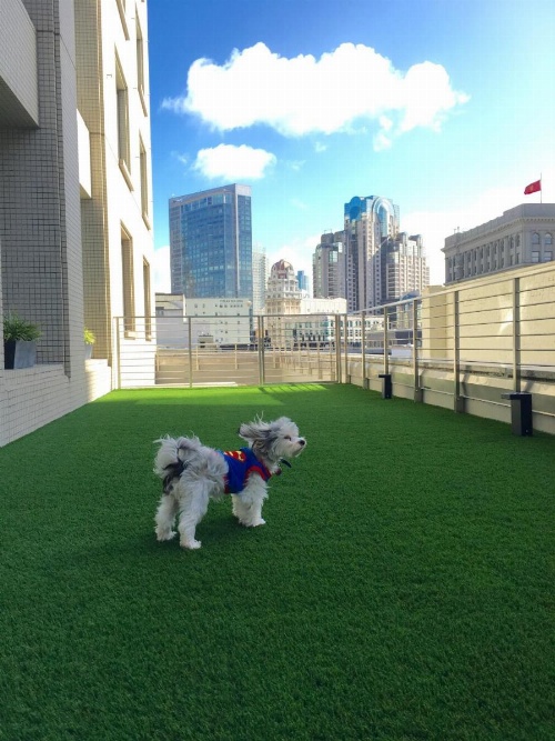 Hotel Nikko San Francisco image 20